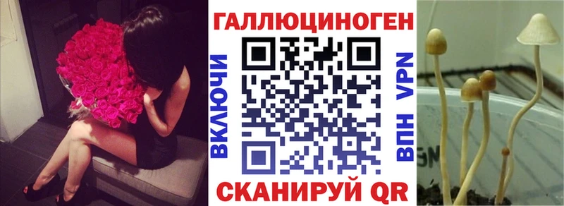 купить наркоту  Заозёрск  Галлюциногенные грибы Psilocybe 